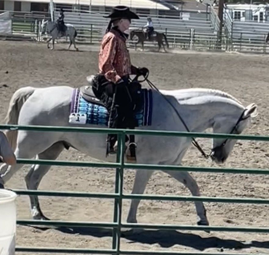 Horse Share Lease